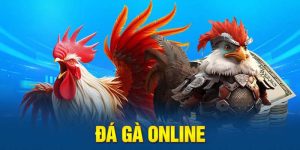 Đá Gà Online Win55 - Hành Trình Chinh Phục Những Trận Đấu