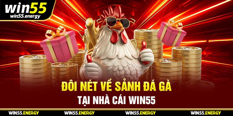 Đôi nét về sảnh đá gà tại nhà cái Win55