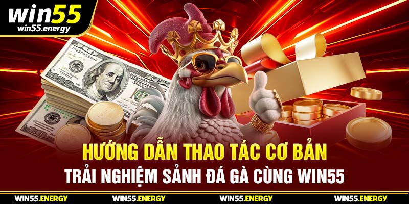 Hướng dẫn thao tác cơ bản trải nghiệm sảnh đá gà cùng Win55